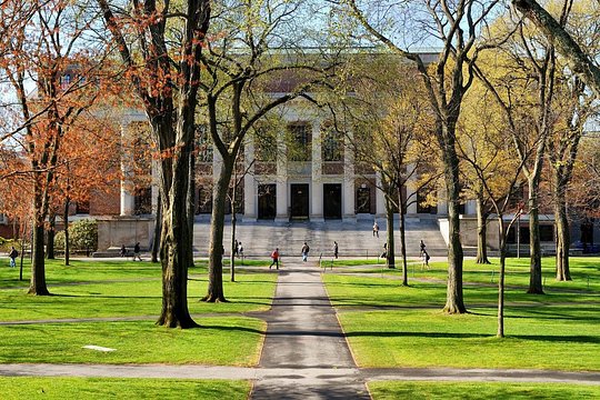 Tour image 13