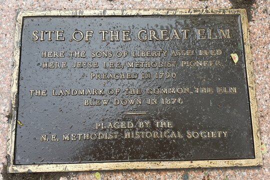 Tour image 10