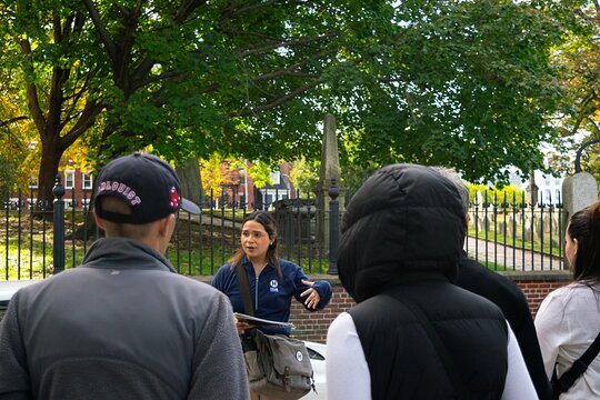 Tour image 7