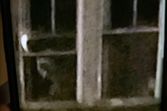 Tour image 8